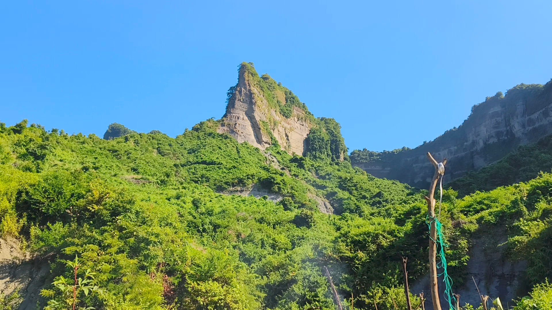 ৬ শিশু-কিশোরকে তুলে নিয়ে গেল অস্ত্রধারীরা, কৌশলে ফিরে এল দুজন