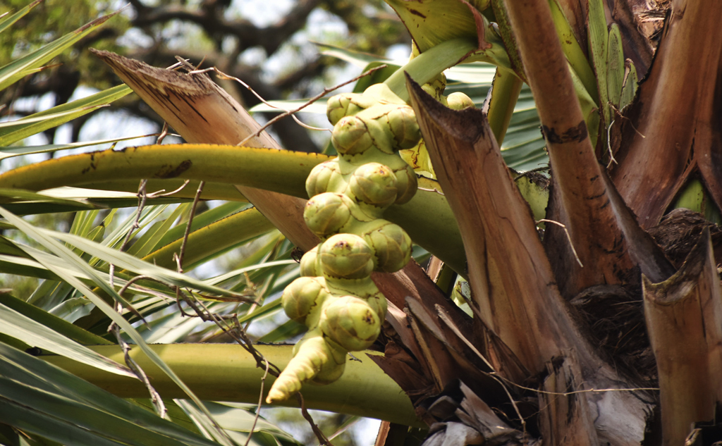 দিনের ছবি (২ এপ্রিল, ২০২৬)