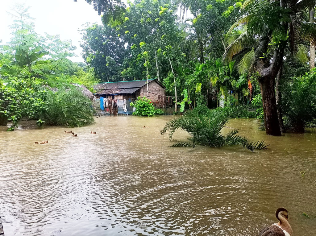 তালায় টানা বর্ষণে ভয়াবহ জলাবদ্ধতা, ঘের-ফসলের ক্ষতি