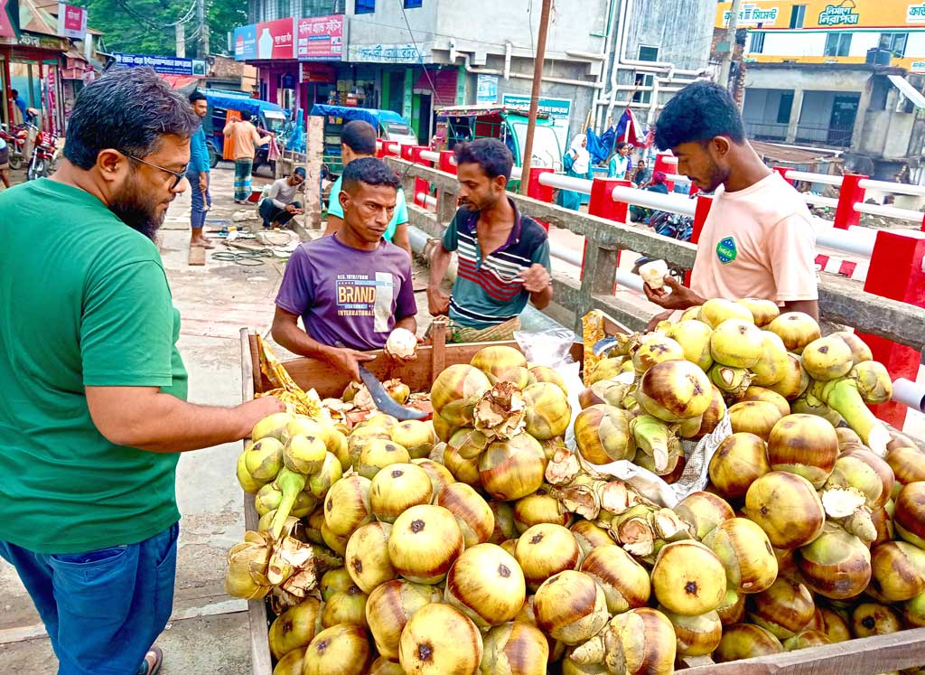 মানিকগঞ্জে গরমের তীব্রতায় স্বস্তি পেতে তালশাঁসের দিকে ঝুঁকছে মানুষ। পুষ্টিকর ও প্রশান্তিদায়ক এই মৌসুমি ফলের চাহিদা বাড়ায় বেড়েছে কদর ও দাম—একেকটি তালশাঁস বিক্রি হচ্ছে ১০ টাকায়। জেলার হাটবাজার, মোড়, গলি ও ভ্যানে বসেছে তালশাঁসের অস্থায়ী দোকান। পেশাদারদের পাশাপাশি অনেকে মৌসুমি ব্যবসা হিসেবেও তালশাঁস বিক্রি করছেন। ছবি: আব্দুর রাজ্জাক