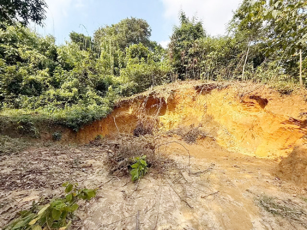 টিলা কেটে সাবাড়, বিএনপি নেতাসহ পাঁচজনের বিরুদ্ধে পরিবেশের মামলা