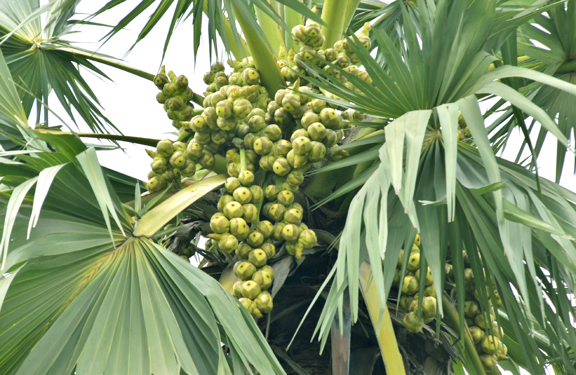 দিনের ছবি (৫ মে, ২০২৫)