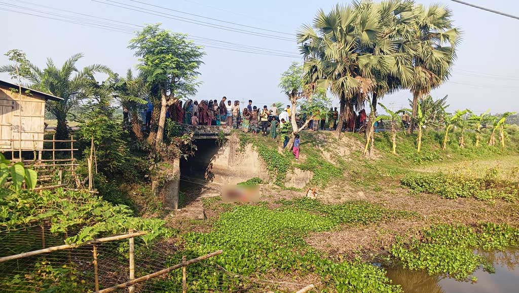 সন্ধ্যায় বাজারে গিয়ে নিখোঁজ, ভোরে কালভার্টের নিচে মিলল নারীর লাশ