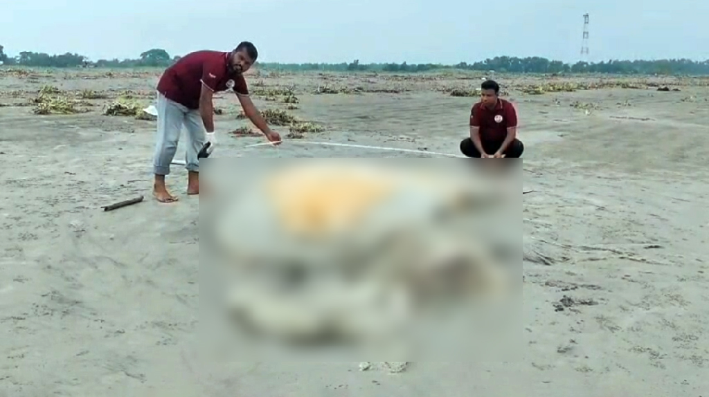 কুয়াকাটা সৈকতে ভেসে এল ৫৬ ফুট দীর্ঘ মৃত বেলিন তিমি