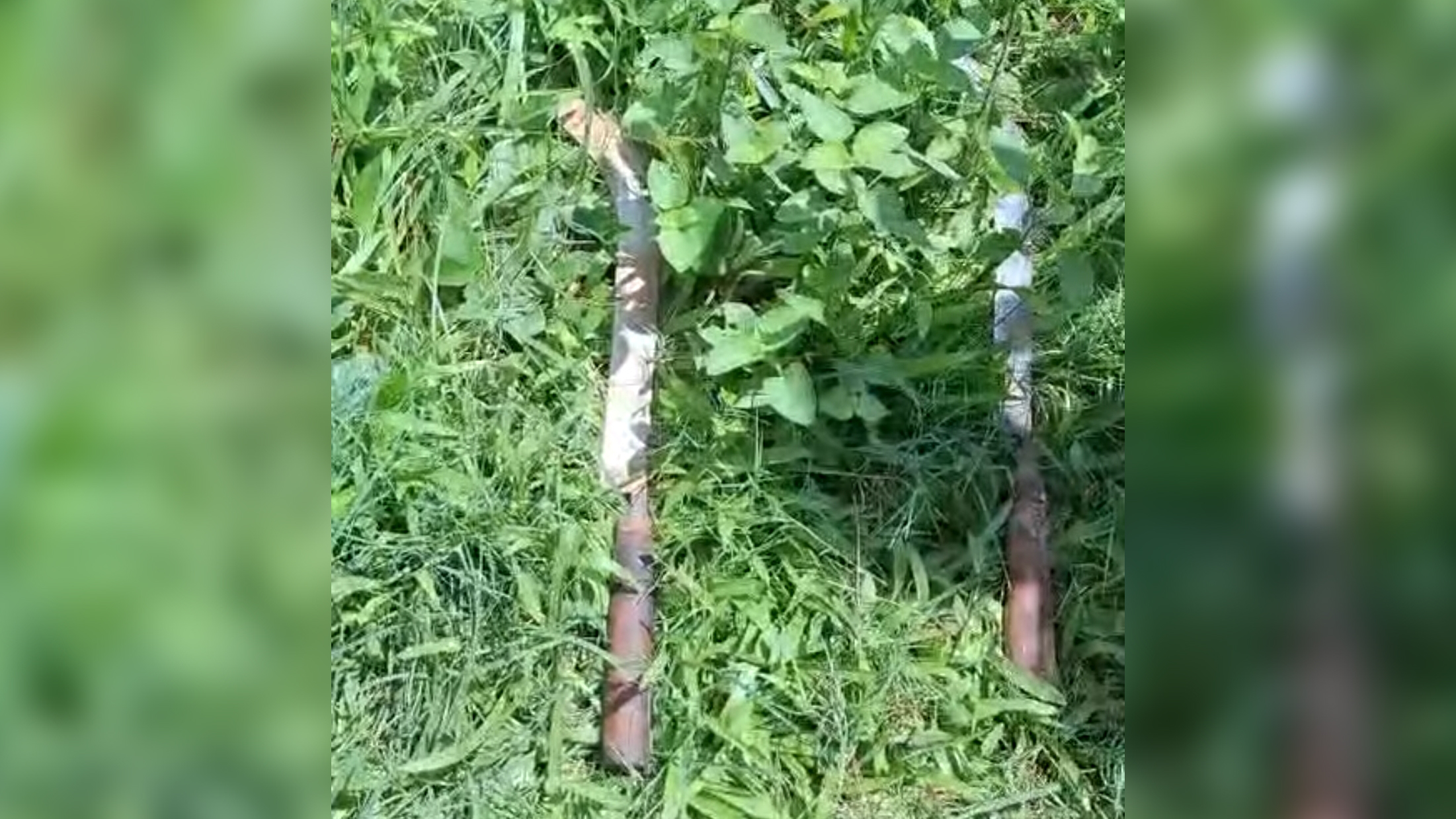 সখীপুরে কর্মচারীর হাত-পা বেঁধে দুই কারখানায় ডাকাতি