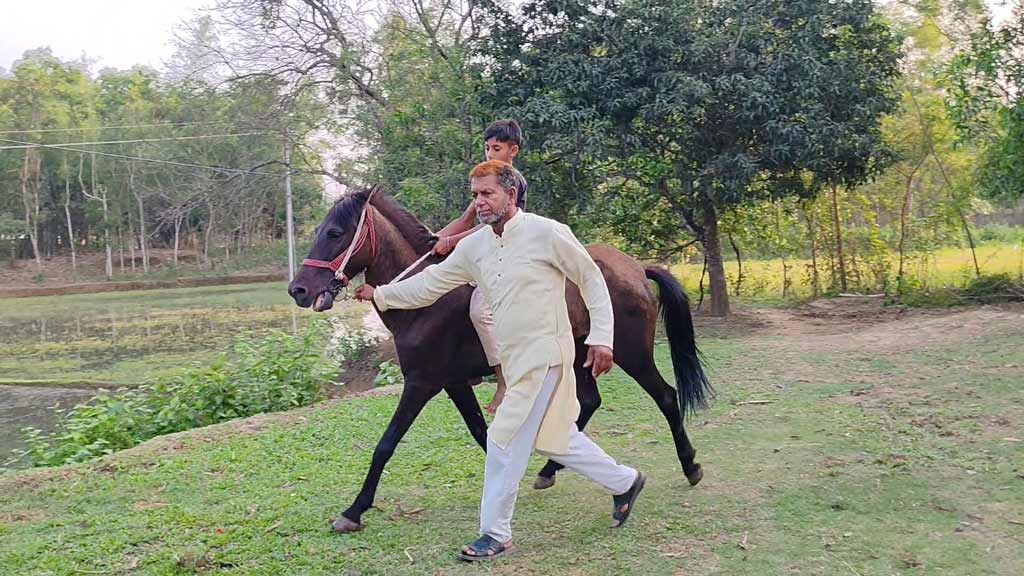 ঘোড়া পালনের নেশায় আজ সফল উদ্যোক্তা আবুল হাশেম