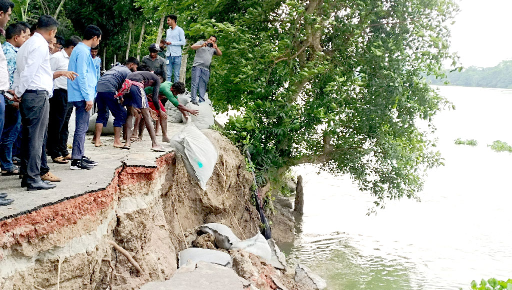 সংবাদ প্রকাশের পর টুঙ্গিপাড়ায় নদীভাঙন রোধে কাজ শুরু