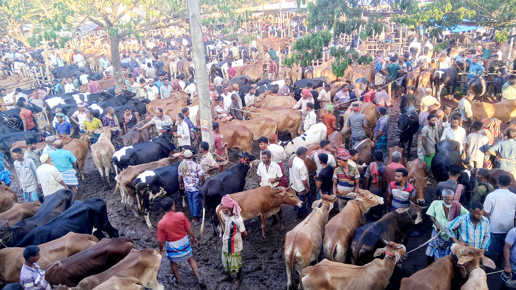 ফরিদপুরের টেপাখোলা হাট: বিক্রেতা বেশি, ক্রেতা কম