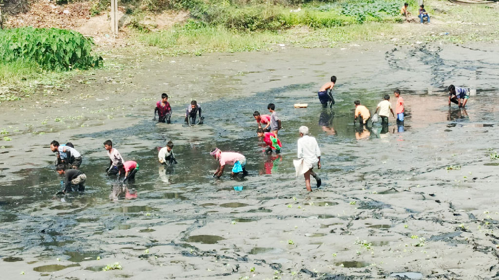 শীতের সঙ্গে শুকিয়ে গেছে জলাশয়ের পানি। অল্প পানিতে আটকে থাকা মাছ শিকারে নেমেছে ছেলে-বুড়োরা। ২৬ ফেব্রুয়ারি ২০২৫, রাজধানীর ডেমরার শূন্যাটেংরা এলাকা থেকে তোলা। ছবি: হাসান রাজা