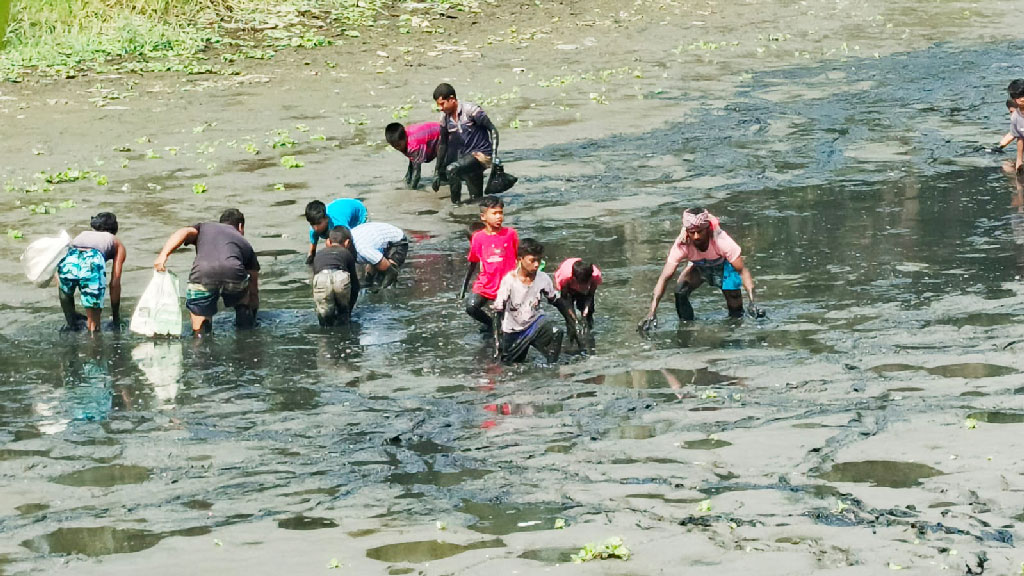 শীতের সঙ্গে শুকিয়ে গেছে জলাশয়ের পানি। অল্প পানিতে আটকে থাকা মাছ শিকারে নেমেছে ছেলে-বুড়োরা। ২৬ ফেব্রুয়ারি ২০২৫, রাজধানীর ডেমরার শূন্যাটেংরা এলাকা থেকে তোলা। ছবি: হাসান রাজা