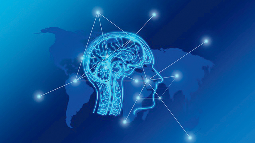 স্মৃতিশক্তি বাড়ানোর ৫ উপায়