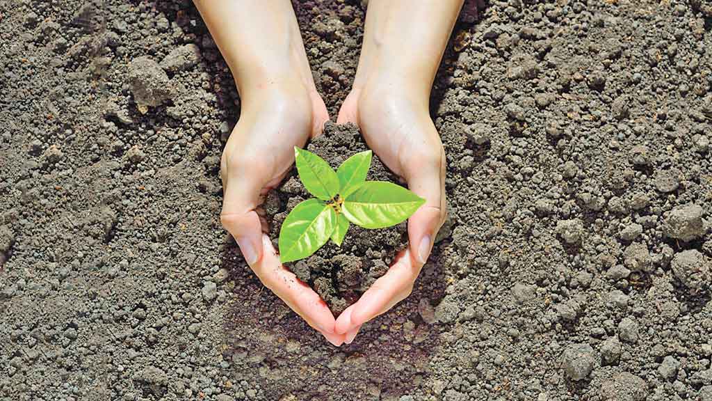 বৃক্ষরোপণ ইবাদত ও মানবতার খেদমত