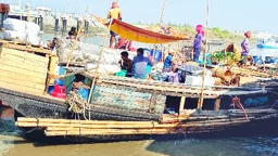 সুন্দরবন: শুঁটকি মৌসুমে আবার দস্যুর ভয়