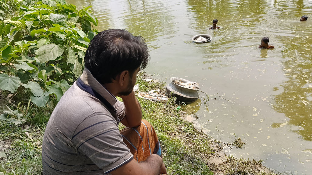 দুর্বৃত্তদের বিষে নীল কামালের ঈদ, মরে ভেসে উঠল ২ পুকুরের মাছ