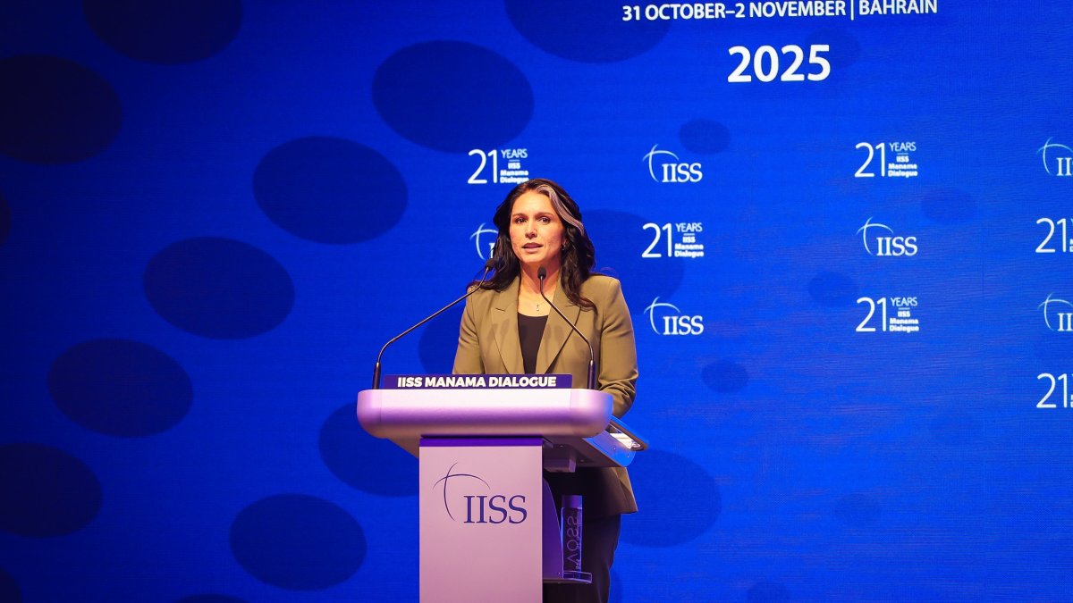 ভিন দেশে সরকার উৎখাতের মার্কিন নীতির দিন শেষ: তুলসী গ্যাবার্ড