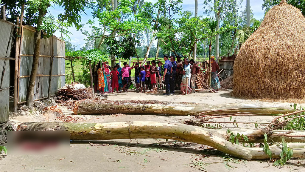 উলিপুরে গাছের নিচে চাপা পড়ে প্রাণ গেল নৈশপ্রহরীর