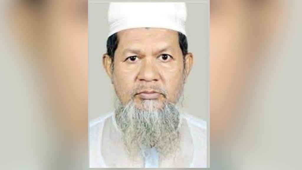 ইউনিয়ন বিএনপির সাধারণ সম্পাদক হলেন উপদেষ্টা মাহফুজের বাবা