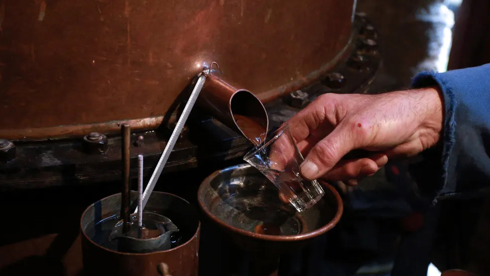 যুক্তরাষ্ট্রে ঘরে মদ তৈরির ১৫৮ বছরের পুরোনো নিষেধাজ্ঞা অসাংবিধানিক ঘোষণা