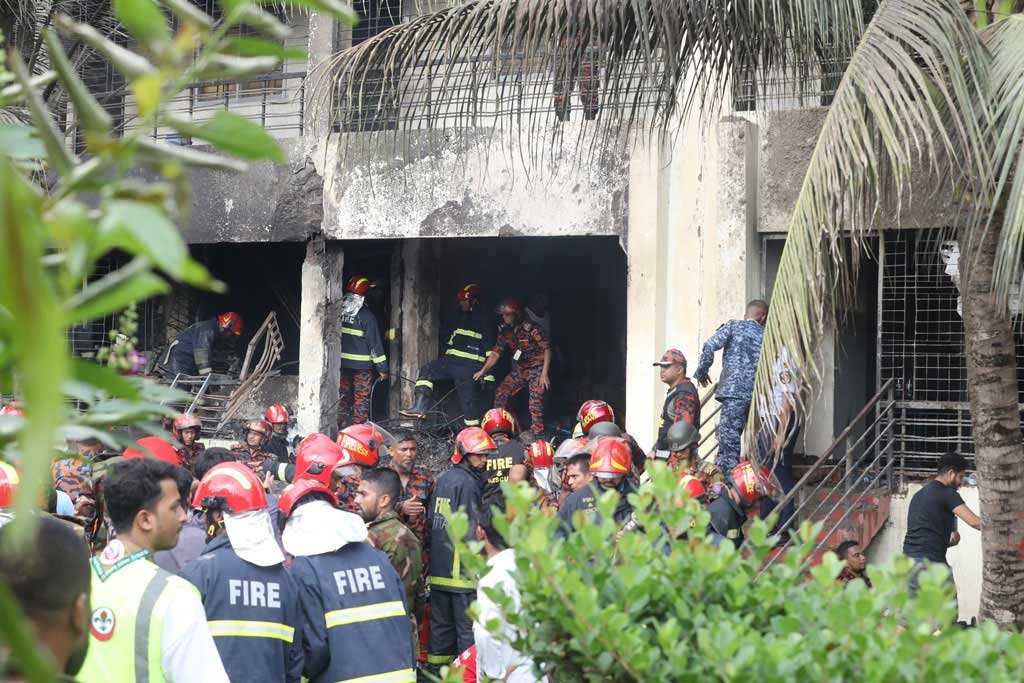 মাইলস্টোনের ঝরে পড়া ফুলগুলো