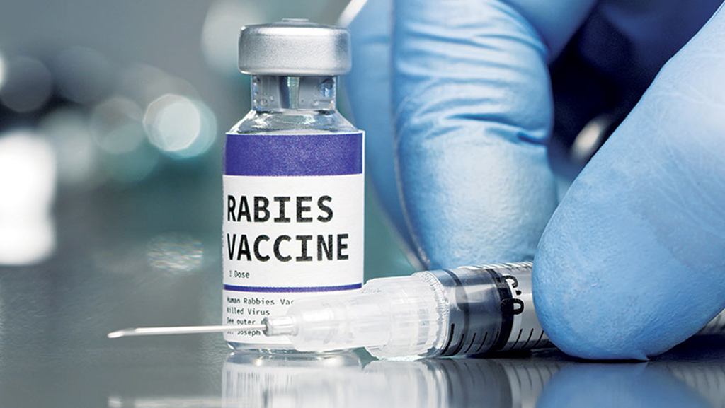 জলাতঙ্কের টিকা নেই হয়রান রোগীরা