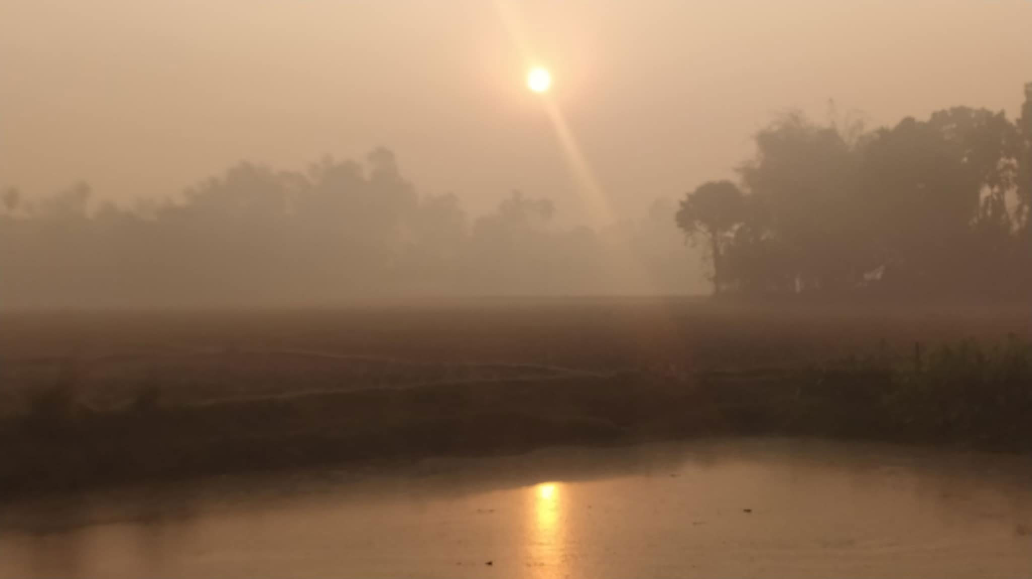 পঞ্চগড়ে মৃদু শৈত্যপ্রবাহ, রাতে তীব্র শীত—দিনে ঝলমলে রোদ