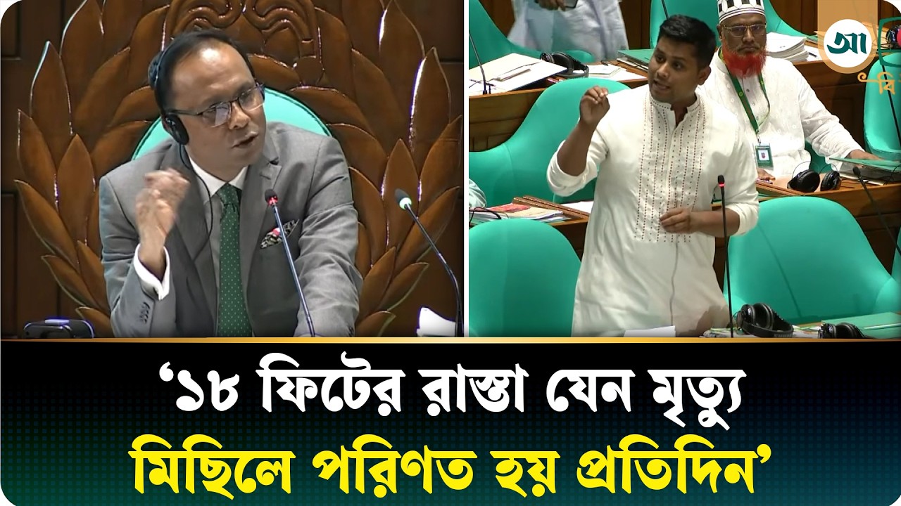 আপনাদের কাছে ভিক্ষা চাই—সংসদে হাসনাত আবদুল্লাহ