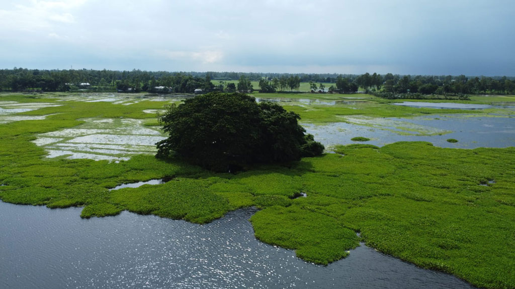 যোগীর ঘোপায় মাদকবিরোধী অভিযান পুলিশ ও প্রশাসনের
