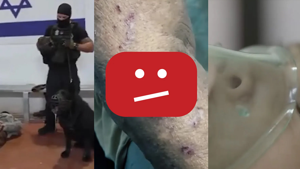 ফিলিস্তিনে ইসরায়েলি অপরাধের ৭ শতাধিক ভিডিও মুছে দিল ইউটিউব