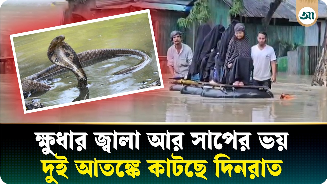 বান্দরবানে বন্যা: একদিকে ত্রাণের অভাব, অন্যদিকে সাপের উপদ্রব