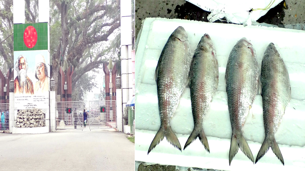 ভারত থেকে ইলিশ আমদানি বন্ধ, ১০৩ অনাপত্তি সনদ বাতিল