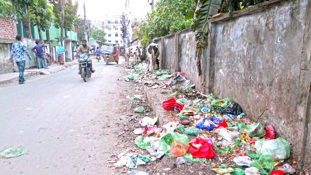যশোর: পরিচ্ছন্নতায় কোটি টাকা ব্যয়, তবু দুর্গন্ধময় শহর