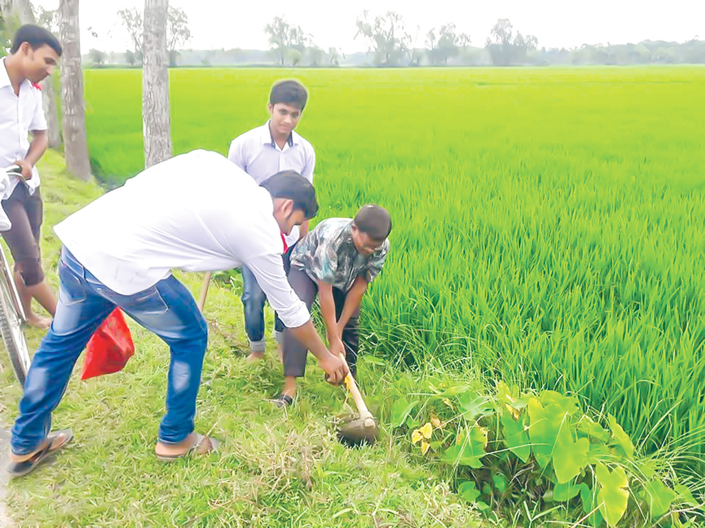 সড়কের দুপাশে সবুজ বিপ্লব কলেজশিক্ষকের