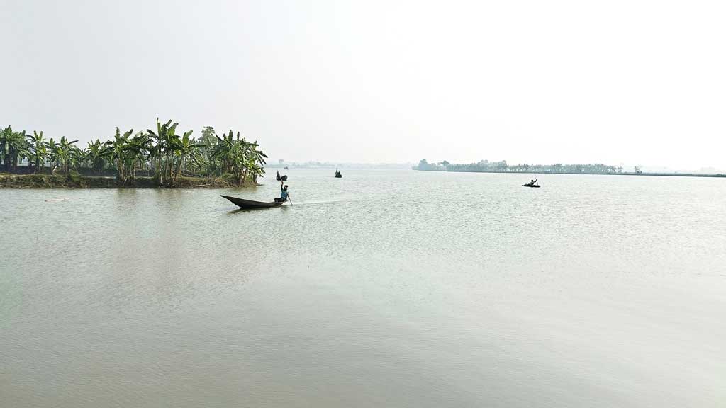 আ.লীগ-বিএনপি জোট কোটি টাকার মাছ লুট