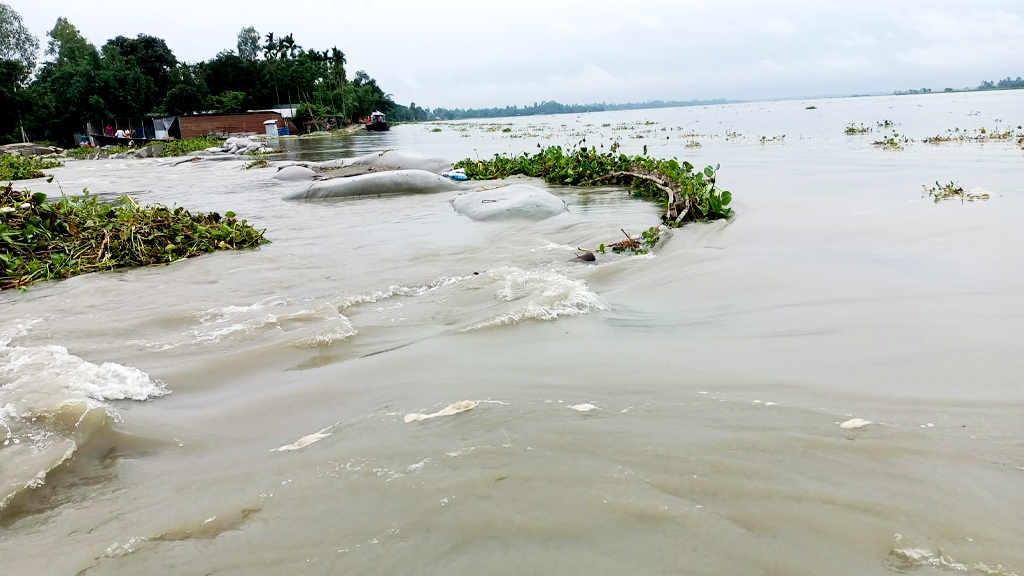কুড়িগ্রামে নিম্নাঞ্চলের কৃষিজমি প্লাবিত, বসতভিটায় ঢুকছে পানি
