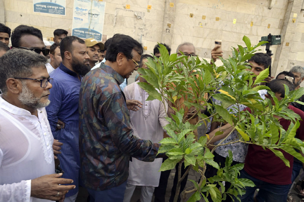 নিউমার্কেট এলাকায় উচ্ছেদ ও পরিচ্ছন্নতা অভিযানে শেষে ফুল ও সৌন্দর্যবর্ধনকারী গাছের টব স্থাপন করেছে ডিএসসিসি। ছবি: সংগৃহীত